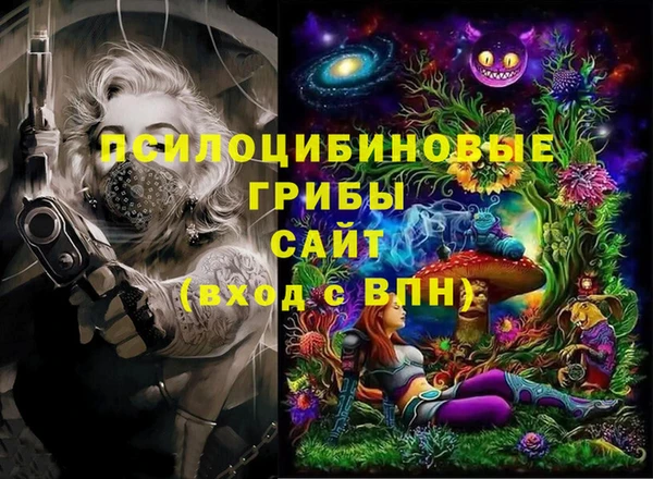 стаф Баксан