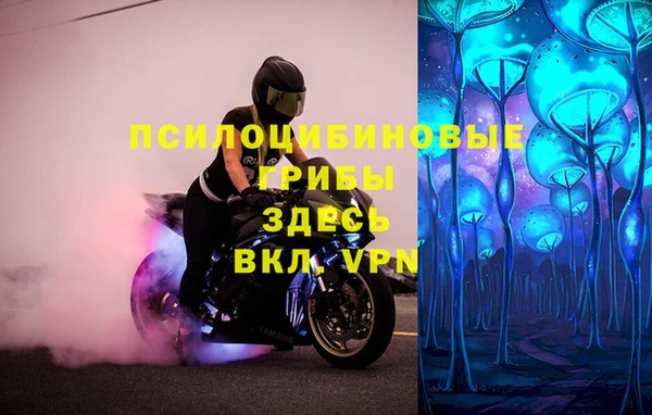 spice Балабаново