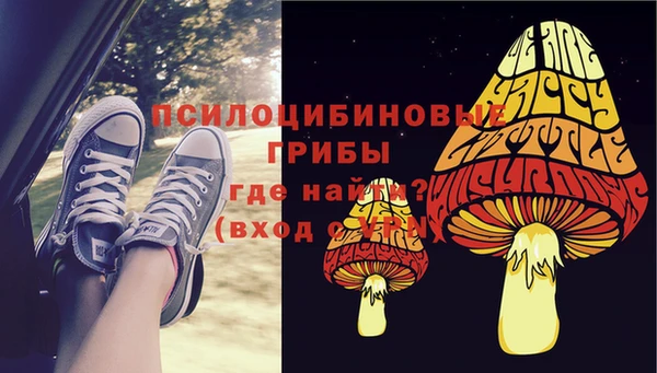 стаф Баксан
