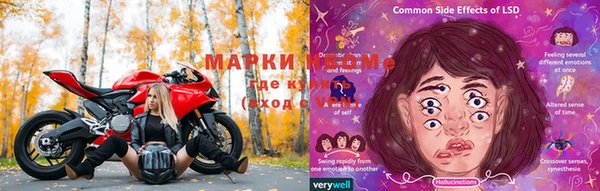 стаф Баксан