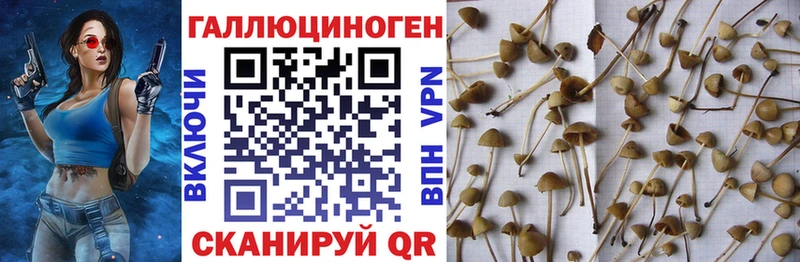 Псилоцибиновые грибы мухоморы  Кушва 